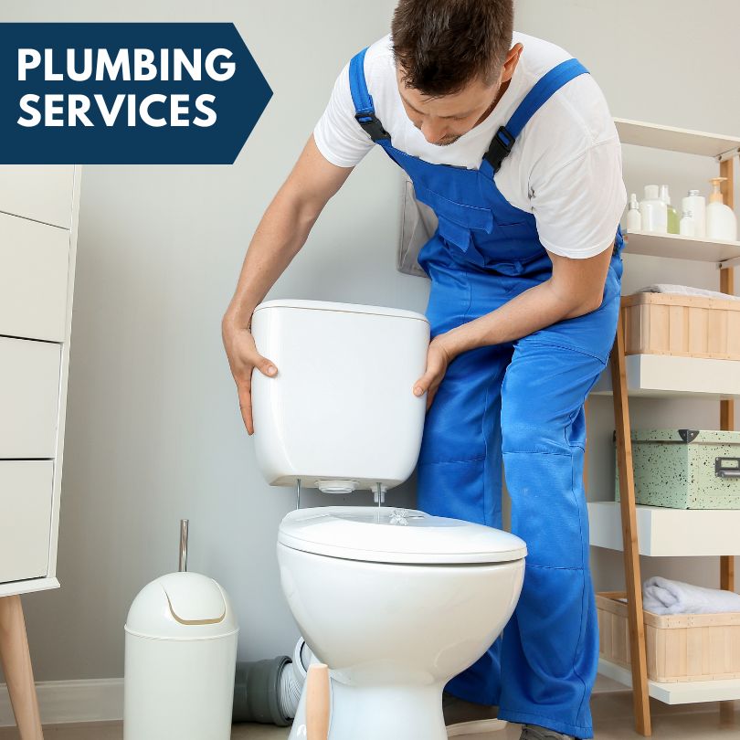 Plumbing Company in Arden, NC